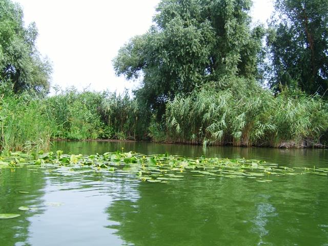 delta rosu 2007 - rosu-august-2007-158.jpg